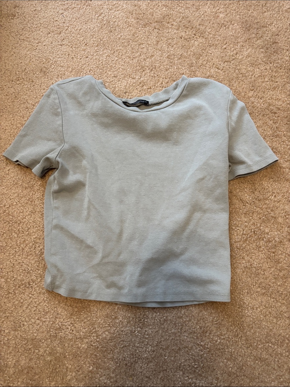 Zara Short Sleeve Crewneck Top - Light Sage